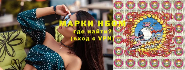 индика Балабаново
