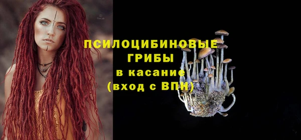 ALPHA PVP Богородск