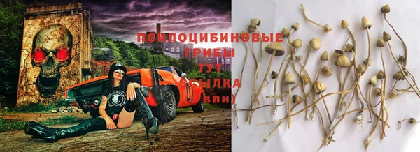 apvp Богородицк