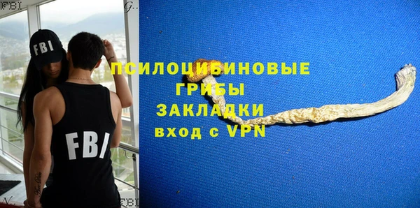apvp Богородицк
