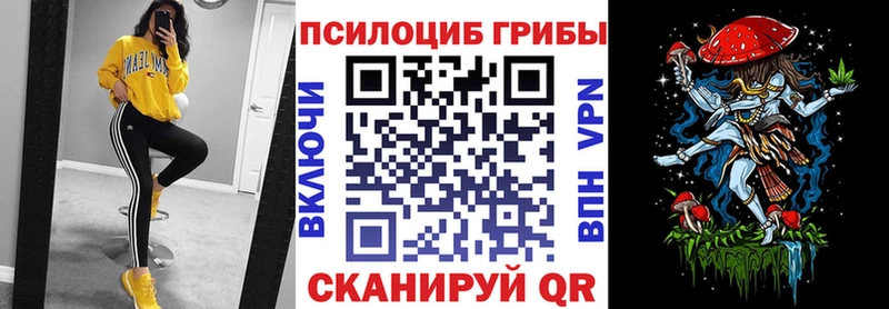площадка клад продажа наркотиков Калининец Псилоцибиновые грибы MAGIC MUSHROOMS
